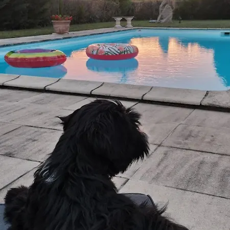 D'hotes Des Princes De Bel Air 3* לודה