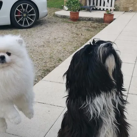 D'hotes Des Princes De Bel Air 3*