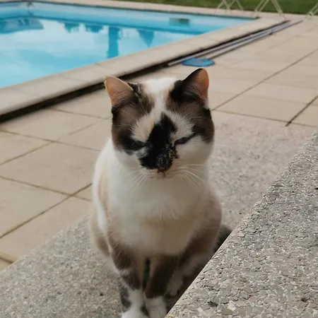 D'hotes Des Princes De Bel Air לודה