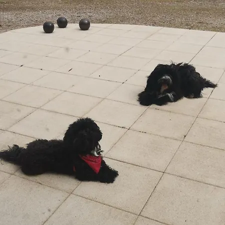 לינה וארוחת בוקר D'hotes Des Princes De Bel Air לודה