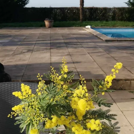 D'hotes Des Princes De Bel Air 3* לודה