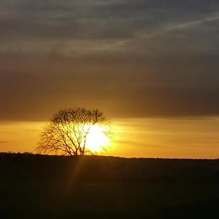 D'hotes Des Princes De Bel Air