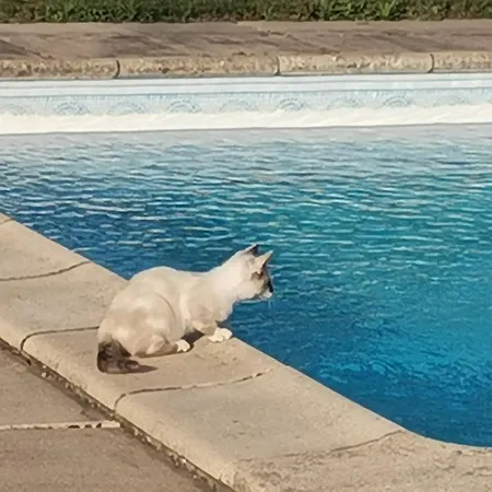 D'hotes Des Princes De Bel Air לודה