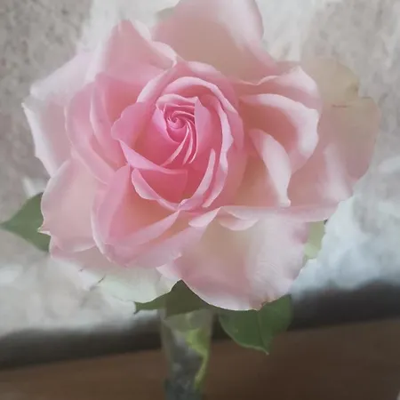 D'hotes Des Princes De Bel Air לינה וארוחת בוקר לודה