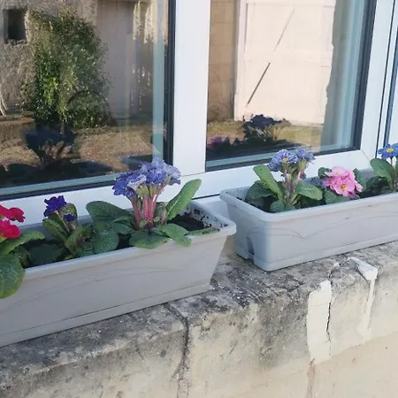 לינה וארוחת בוקר D'hotes Des Princes De Bel Air לודה