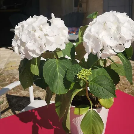 D'hotes Des Princes De Bel Air Bed and Breakfast