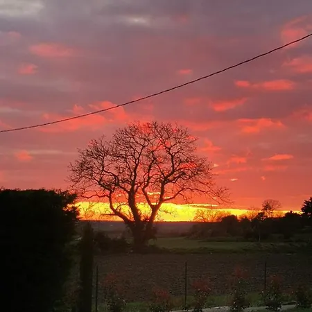 D'hotes Des Princes De Bel Air 3* לודה