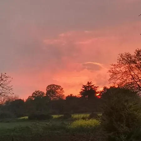 Bed and Breakfast D'hotes Des Princes De Bel Air Loudun